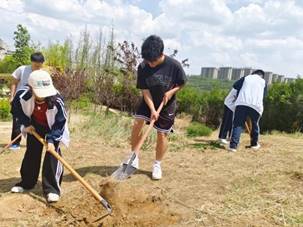 335098ada1a173b3aabfe972b89b201